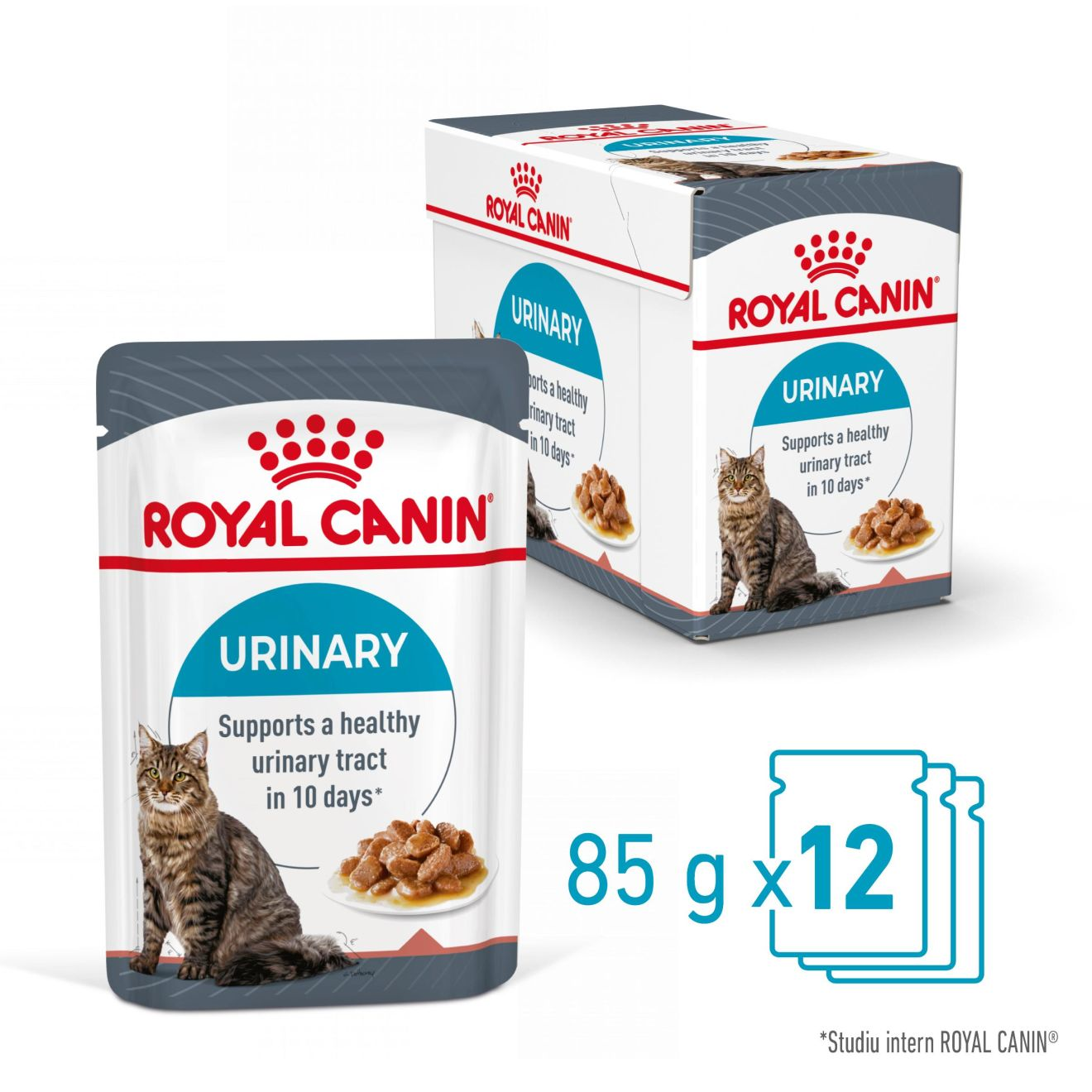 URINARY CARE Thin slices in gravy