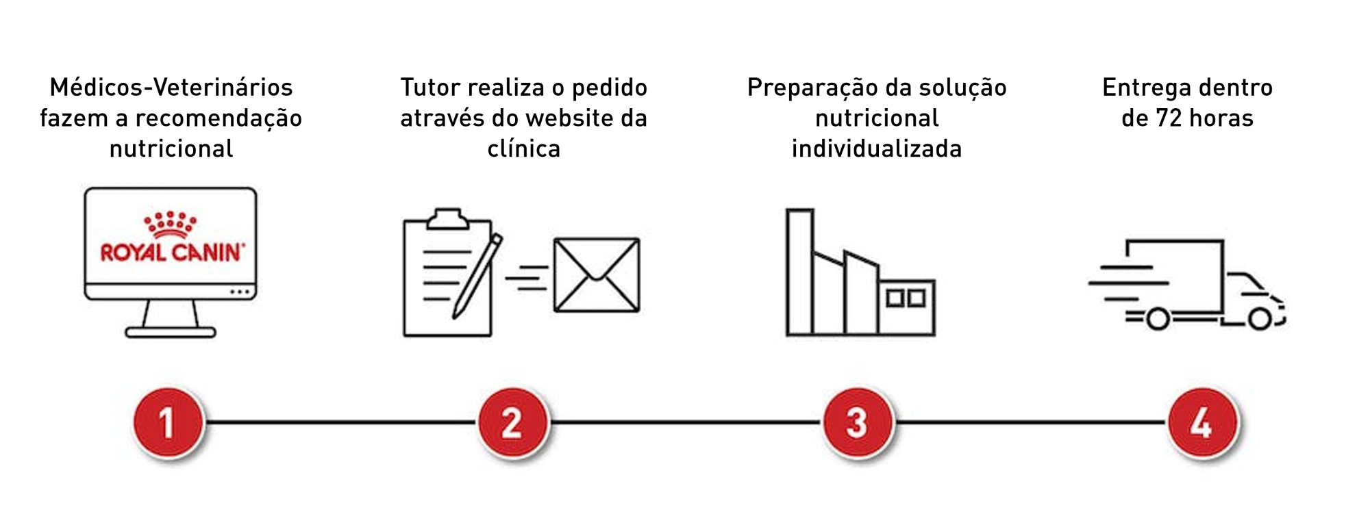 As quatro etapas para alcançar uma solução nutricional sob medida individualizada para um único pet.