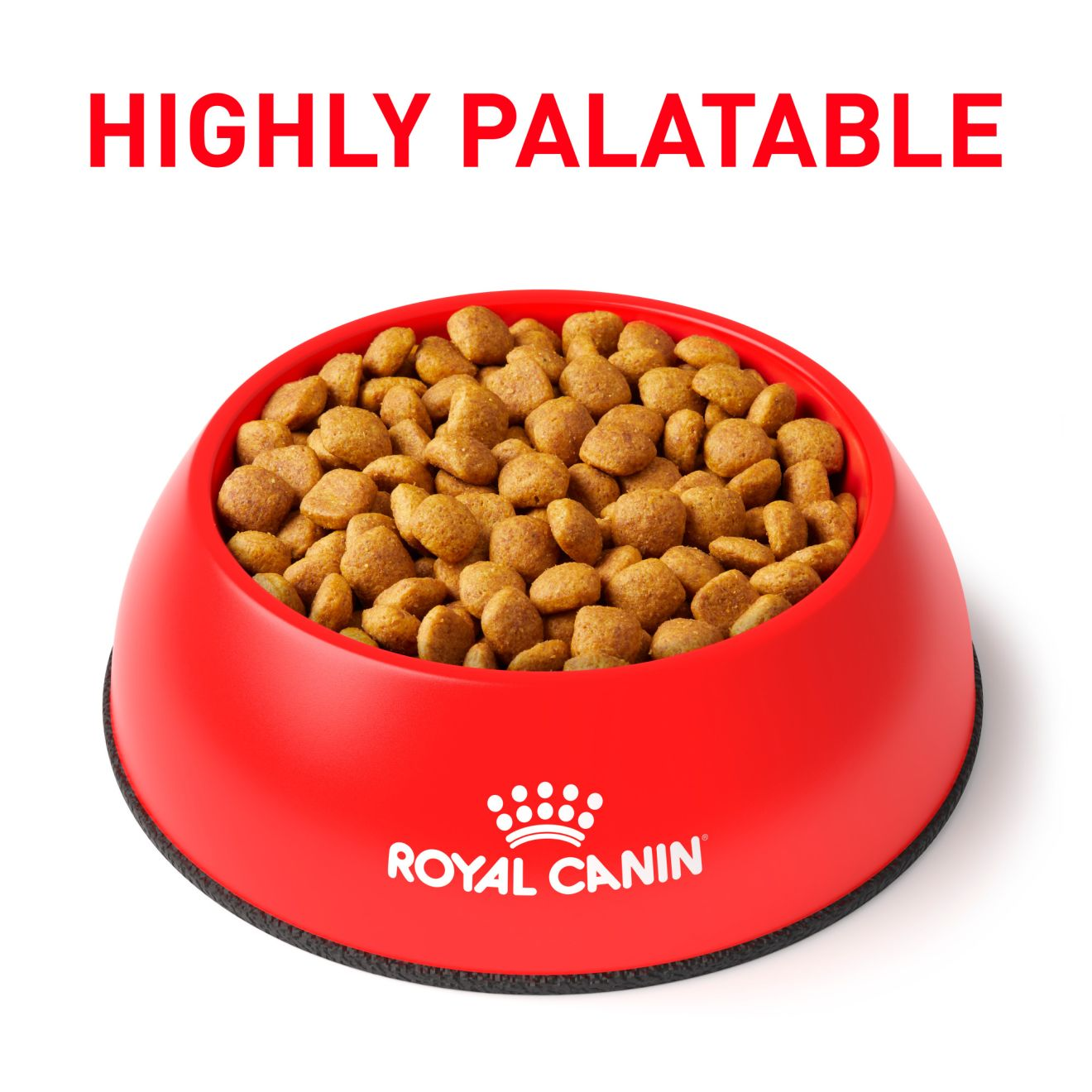 Canine Mature Consult Medium Dog