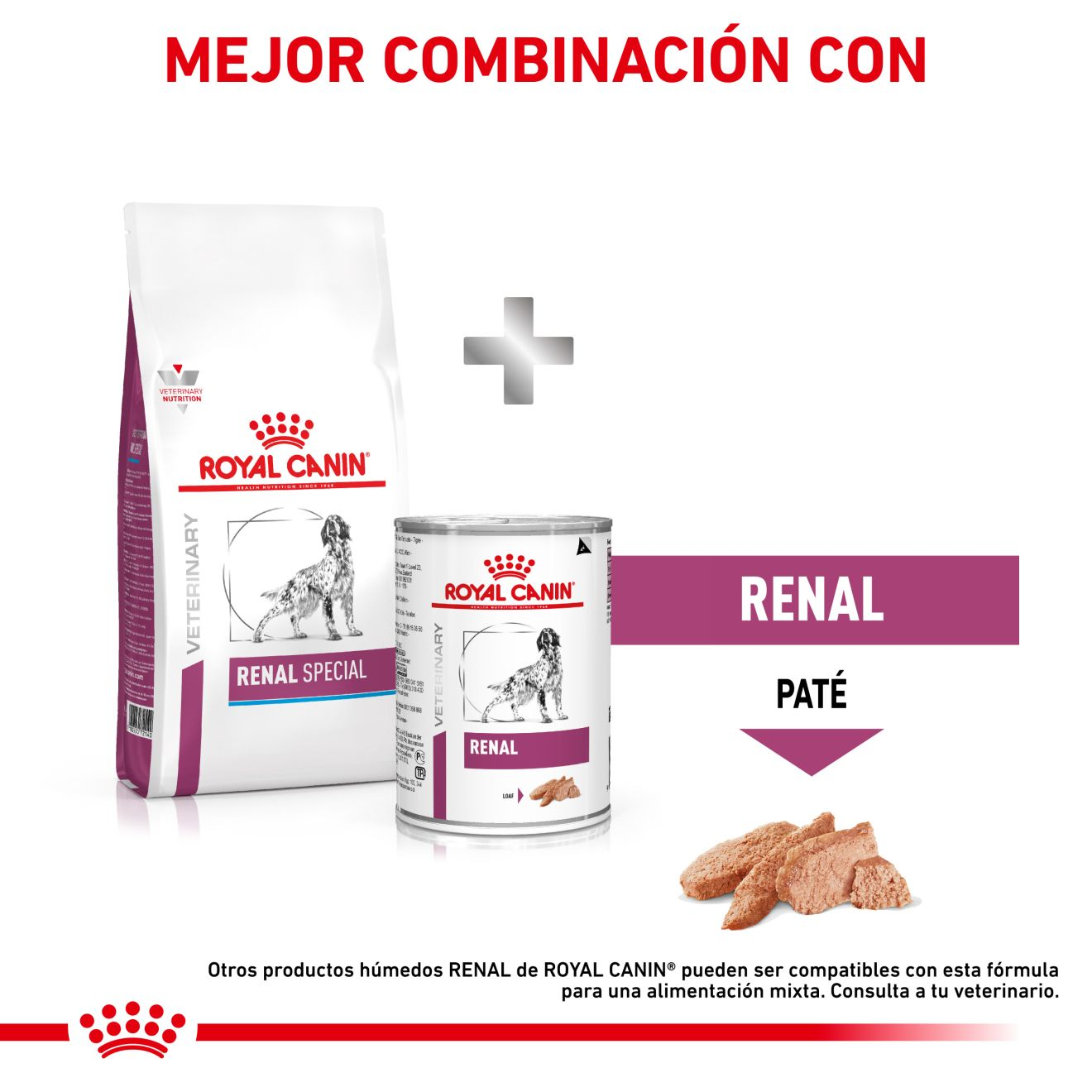 Renal Special