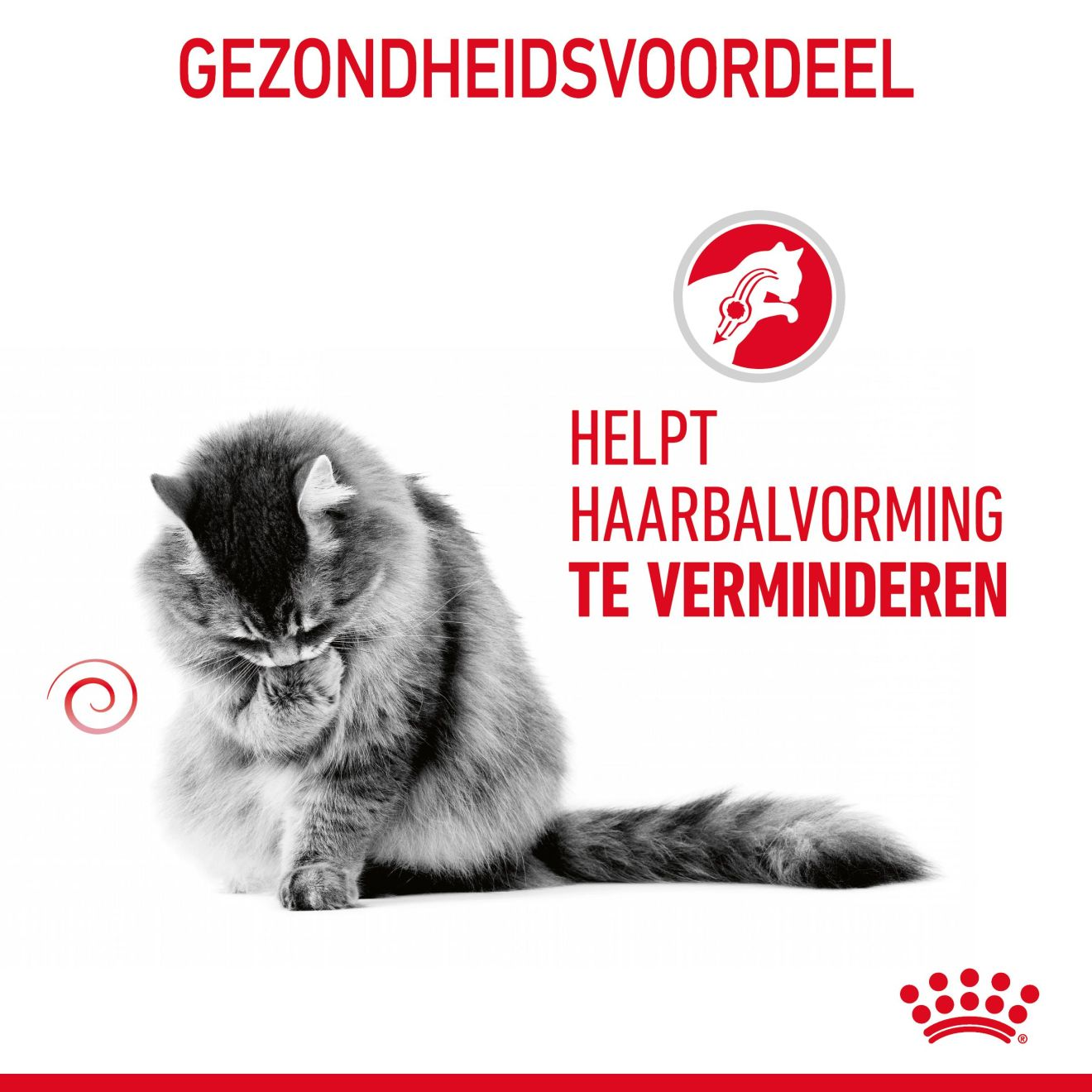Hairball Care in Gravy (brokjes in saus)