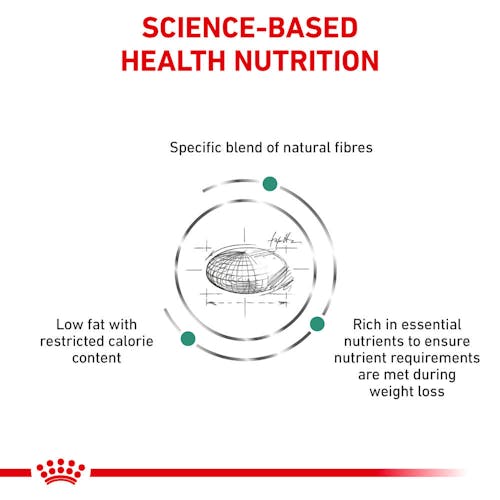 Satiety Weight Management