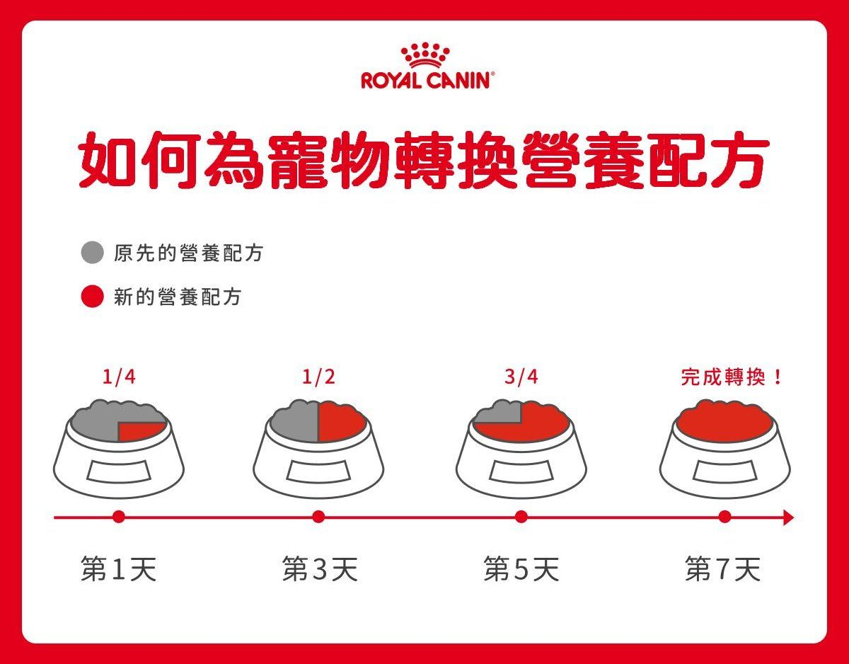 幼犬轉換營養配方流程說明