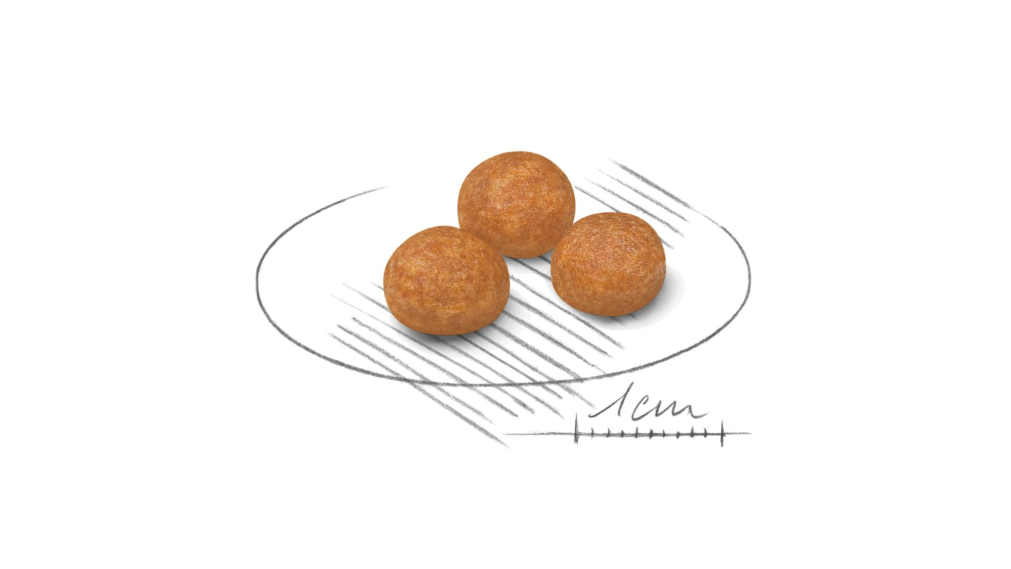 Illustration de croquettes Royal Canin pour chiens adultes de très petite taille