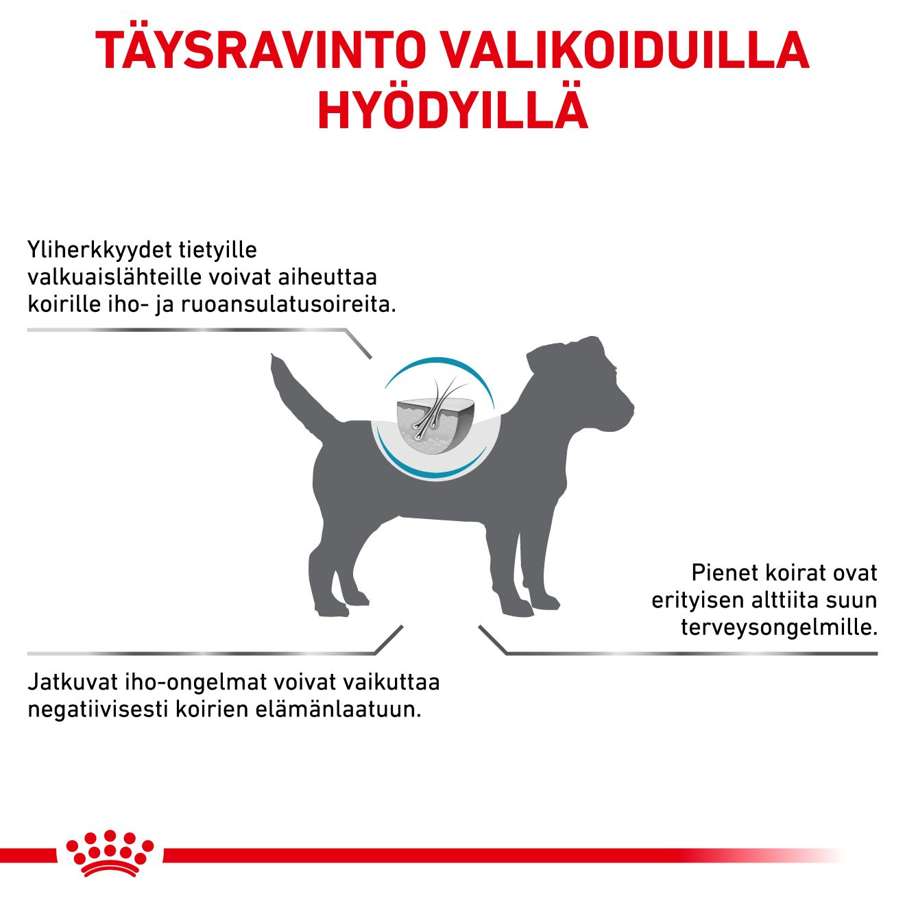 Derma Anallergenic Small Dog