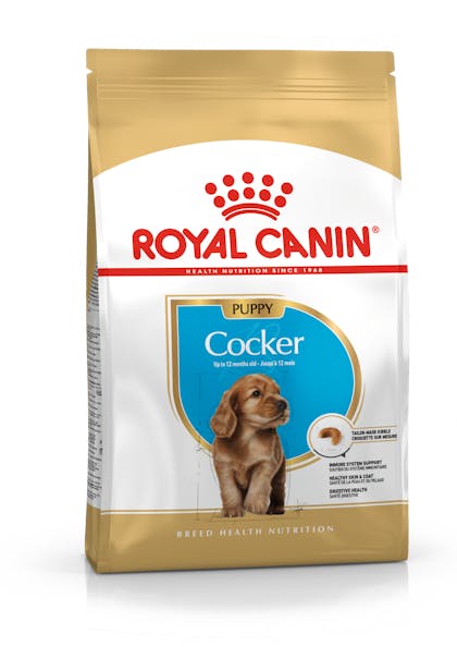 Best food for on sale cocker spaniel puppy