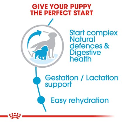 Royal canin outlet rehydration