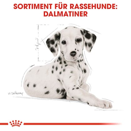 RC-BHN-Puppy-Dalmatian-Trockennahrung_Sortiment_DE