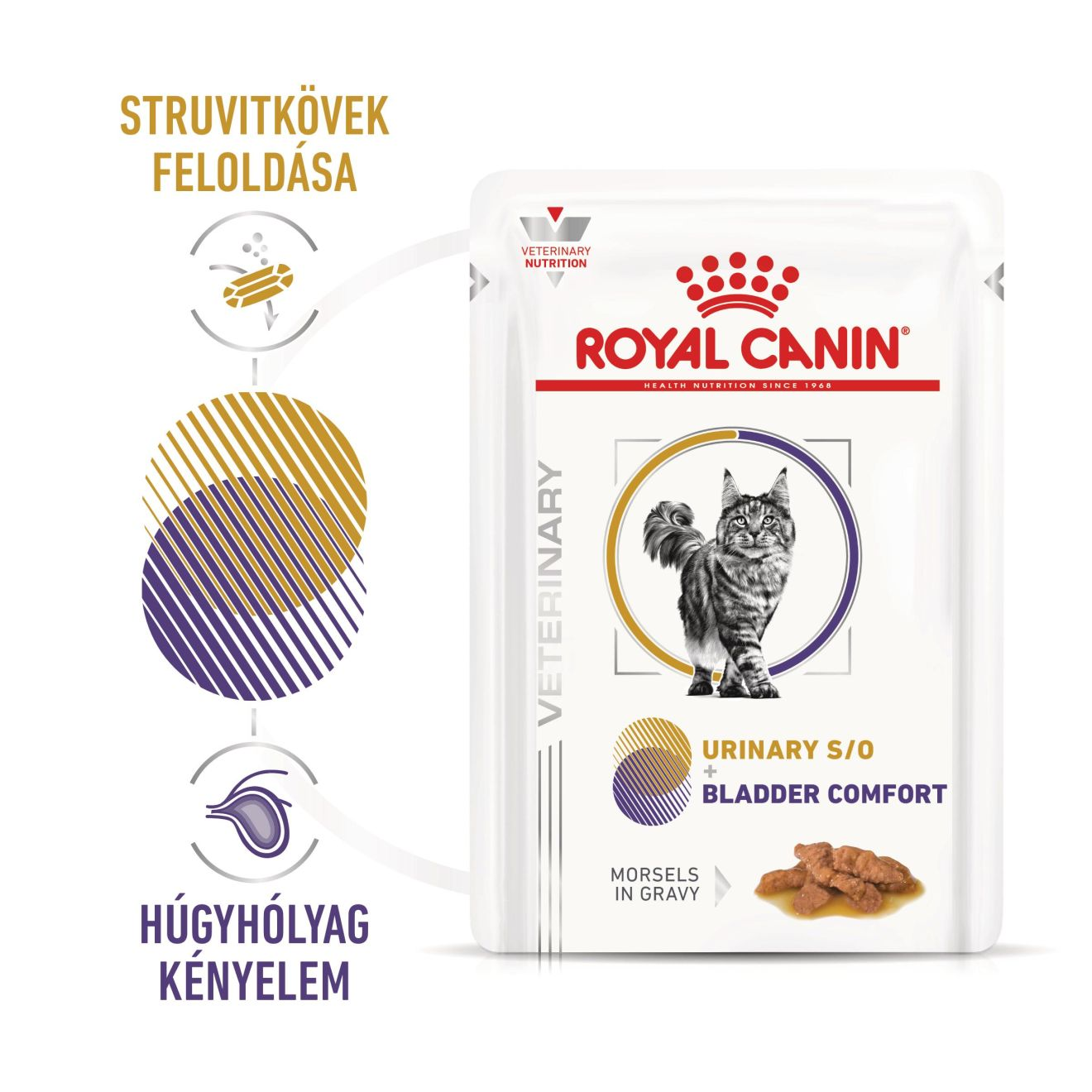 Multifunction Urinary S/O + Bladder Comfort