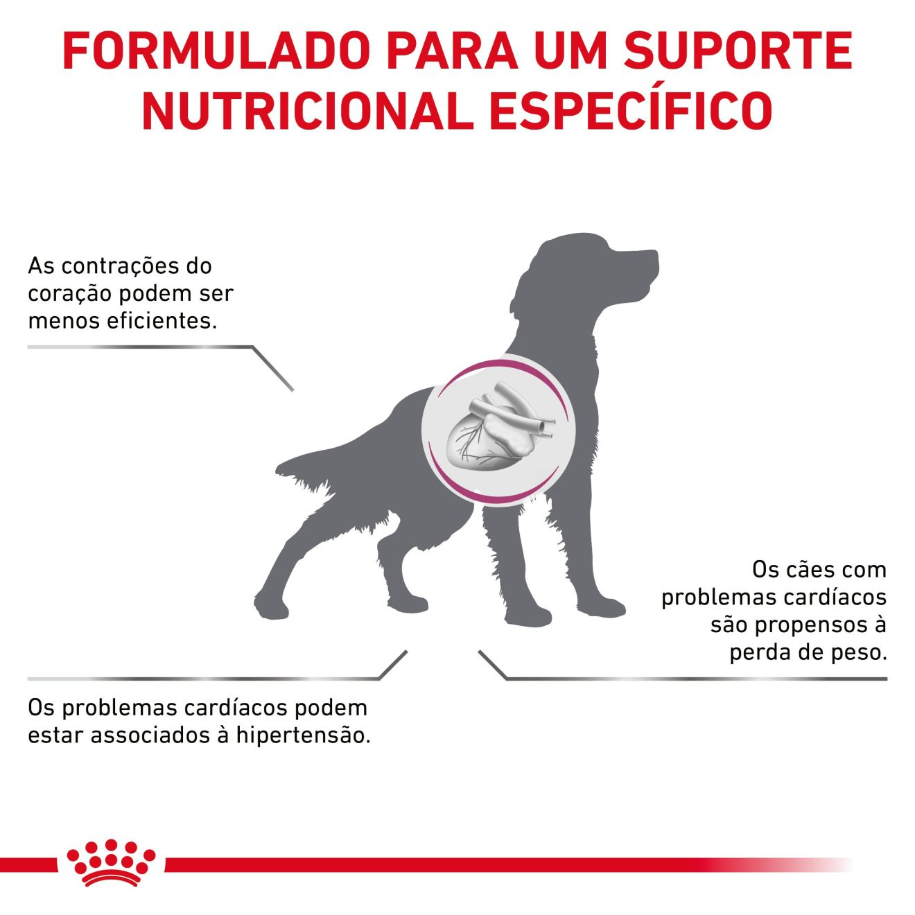 Cardiac Patê