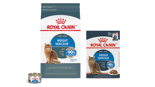 Royal Canin Satiety Weight Management Dry Cat Food