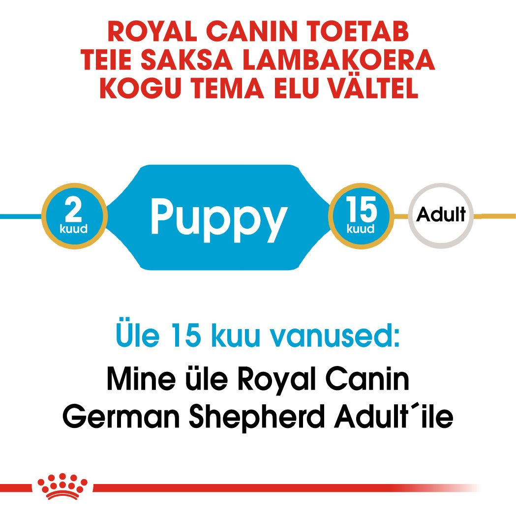 Royal Canin German Shepherd Puppy kuivtoit