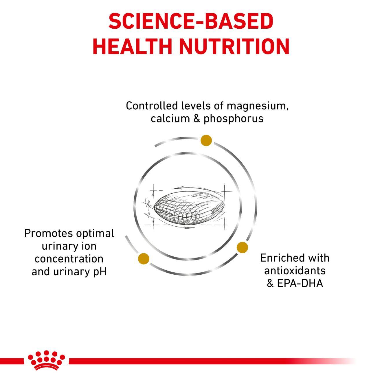 Canine Urinary SO Royal Canin US