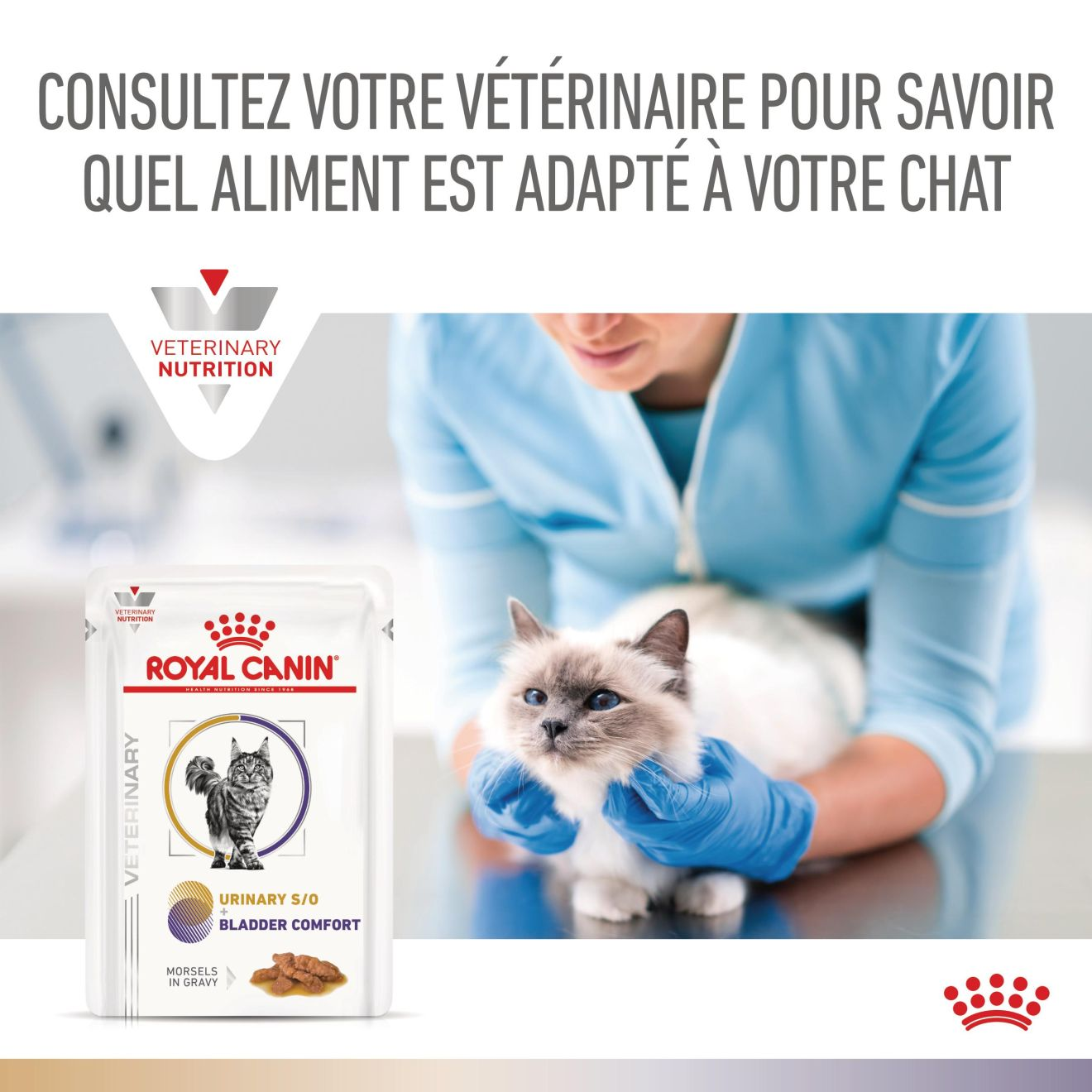 Urinary S/O + Bladder Comfort Chat