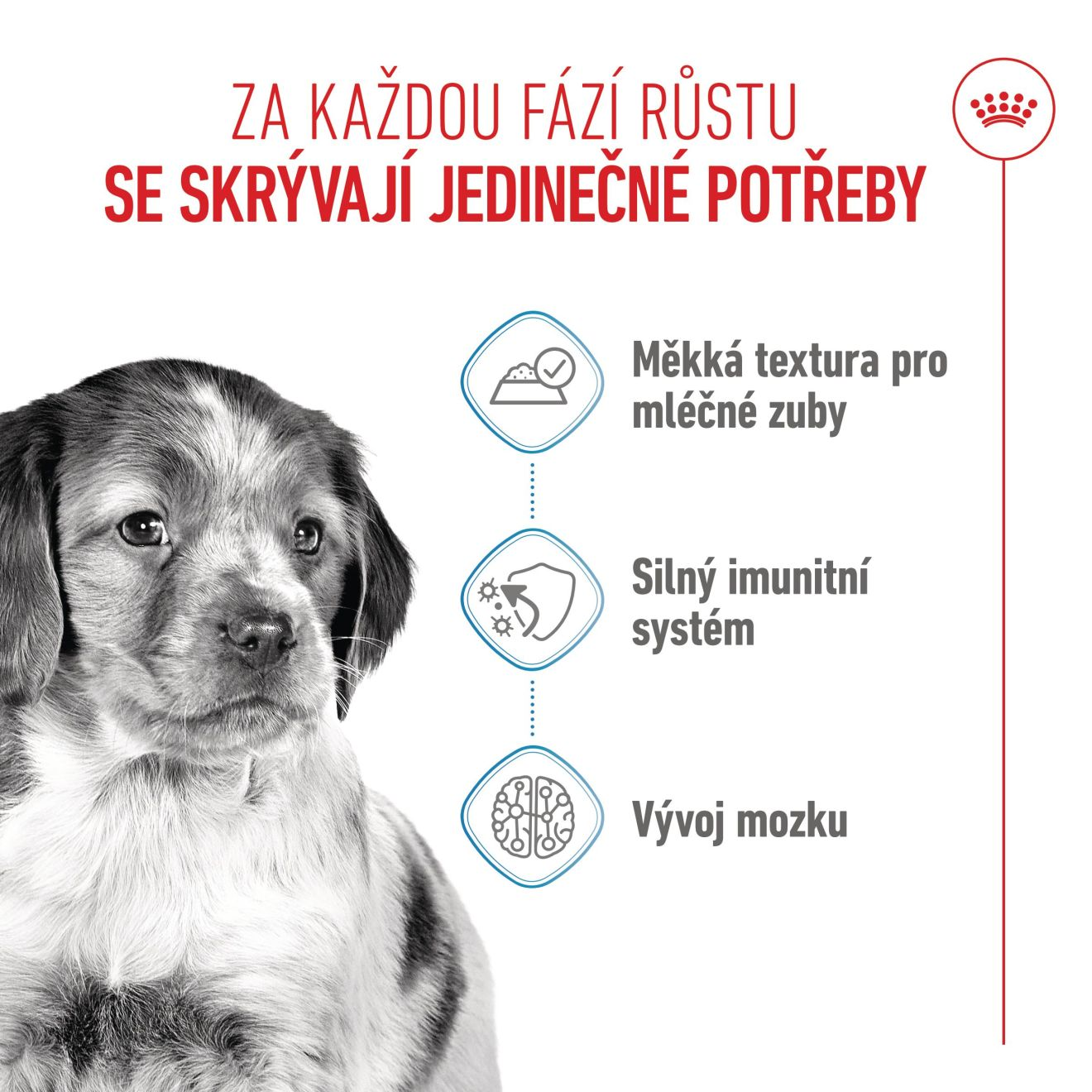 MEDIUM PUPPY kousky ve šťávě