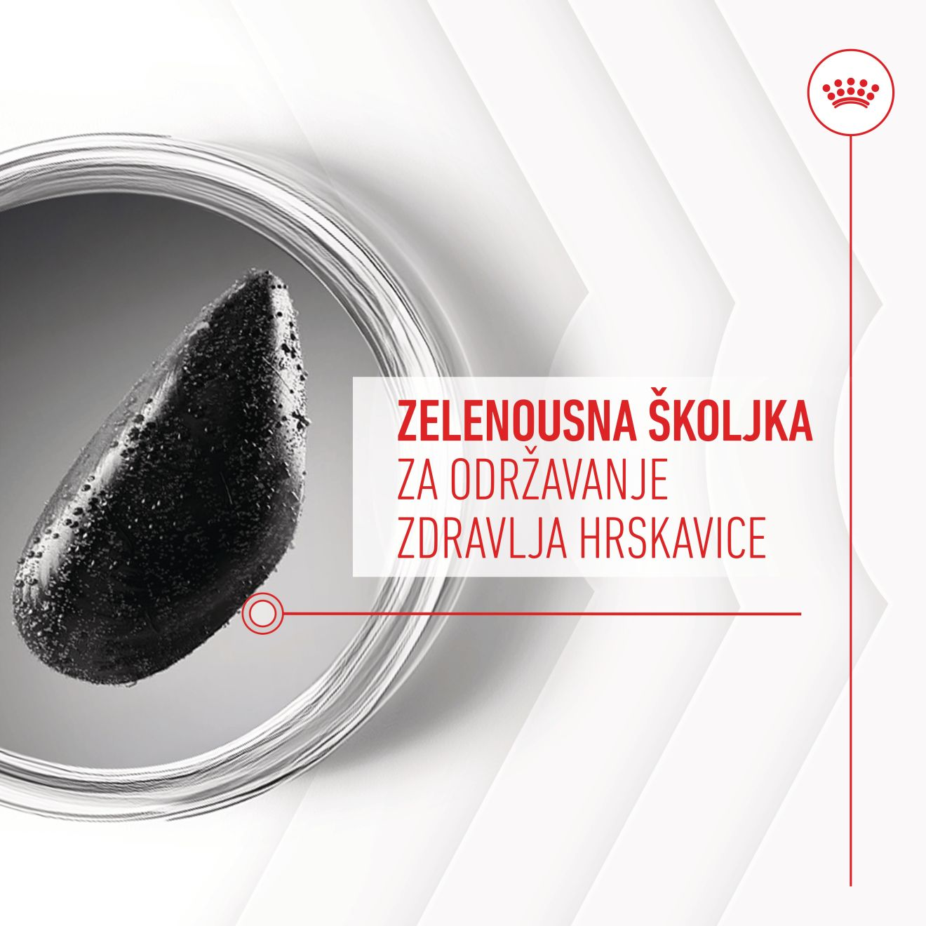 JOINT & AGEING CHEWS