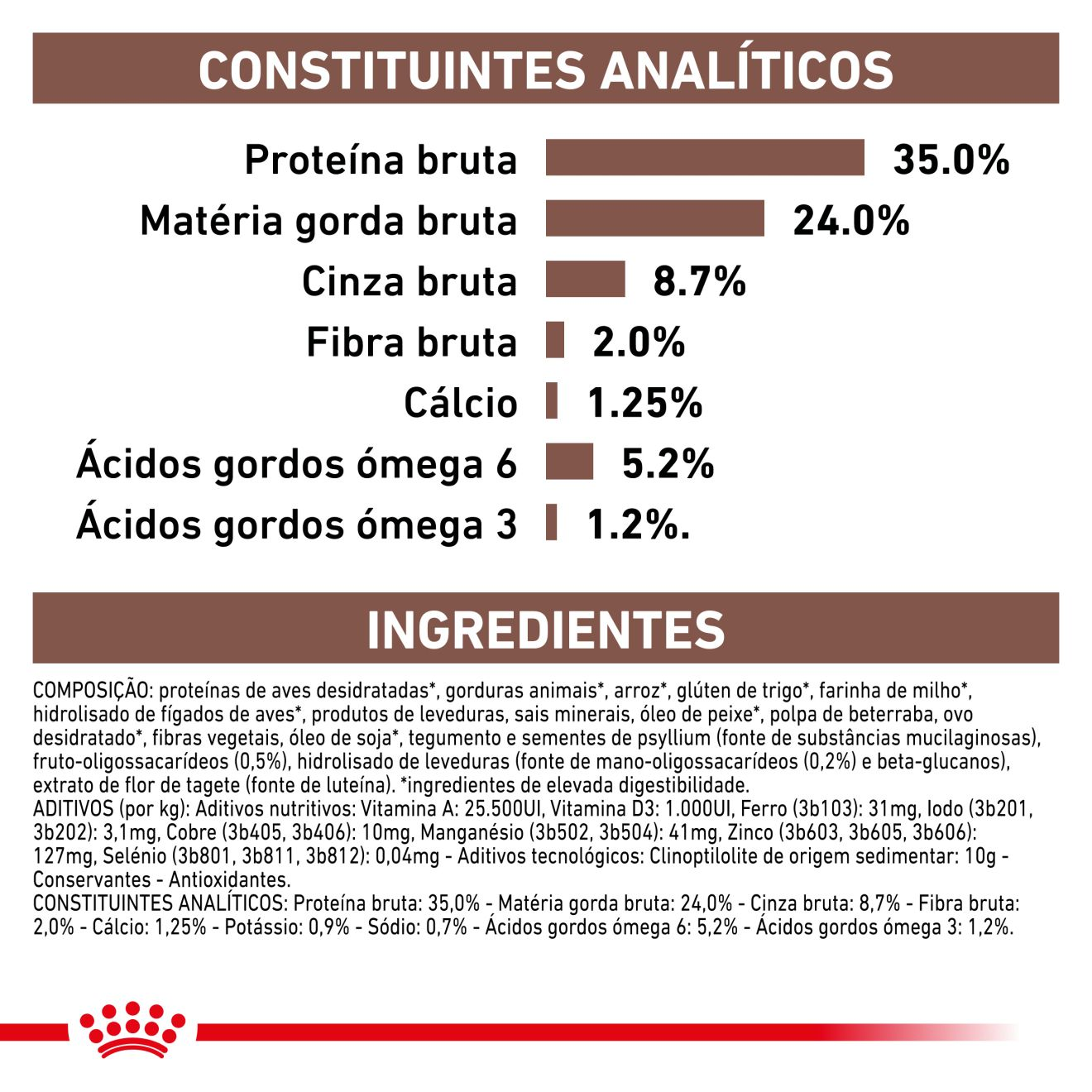 Gastrointestinal Kitten