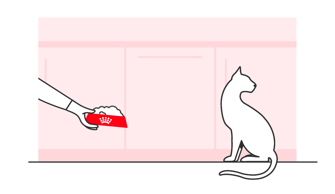 Illustration d'un chat dans une cuisine, détournant le regard d'un bol de nourriture qui lui est proposé