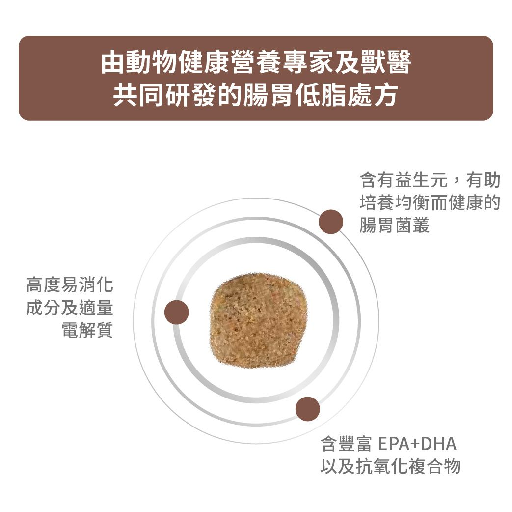 成犬腸胃低脂處方