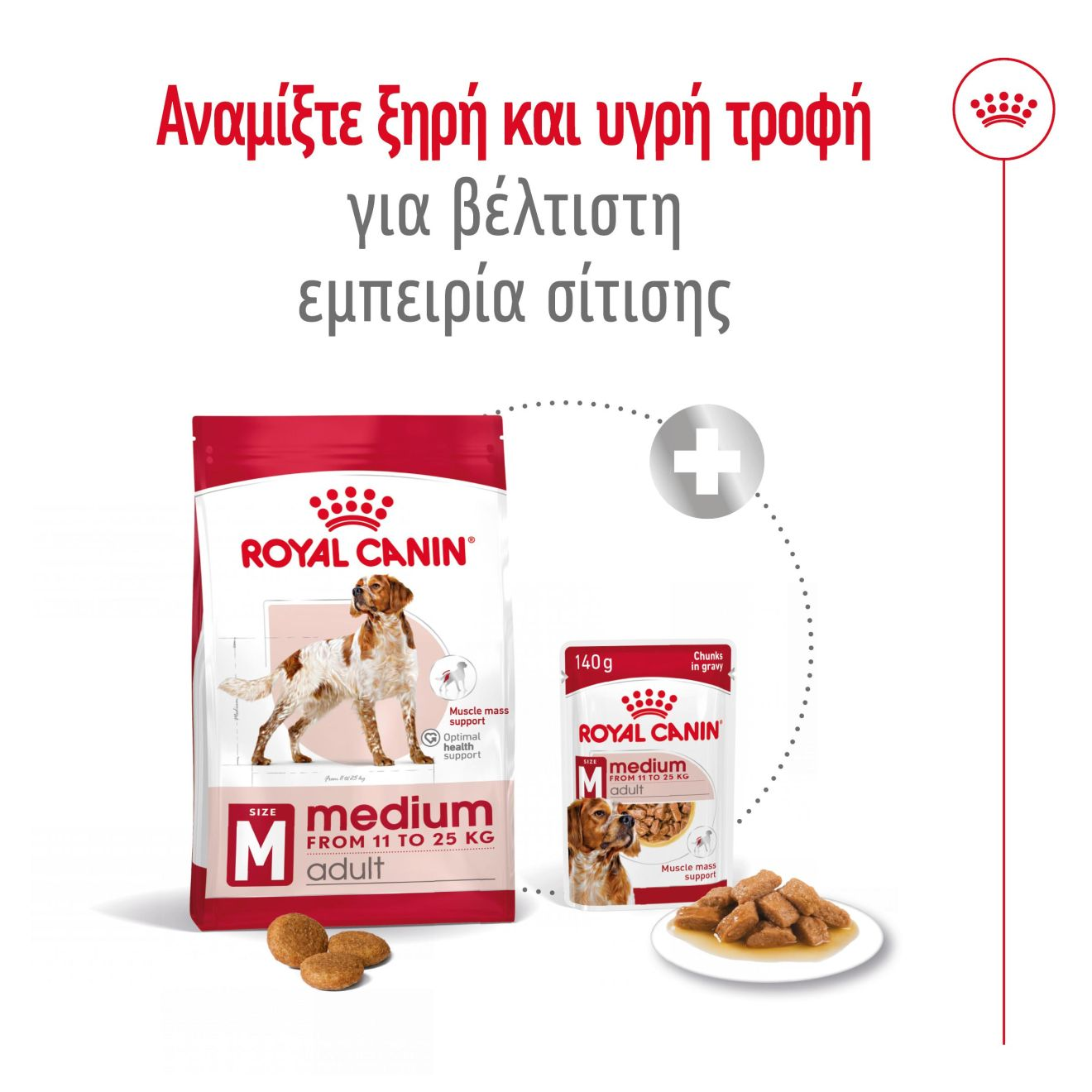 MEDIUM ADULT