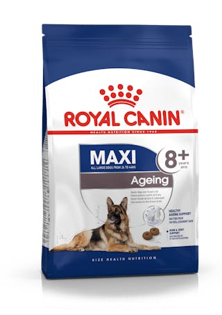 Belgian Shepherd Royal Canin