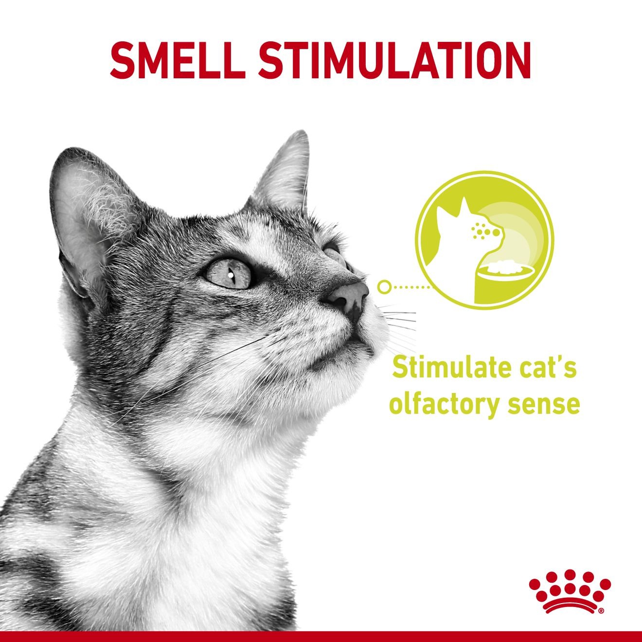 SENSORY™ SMELL in Soße