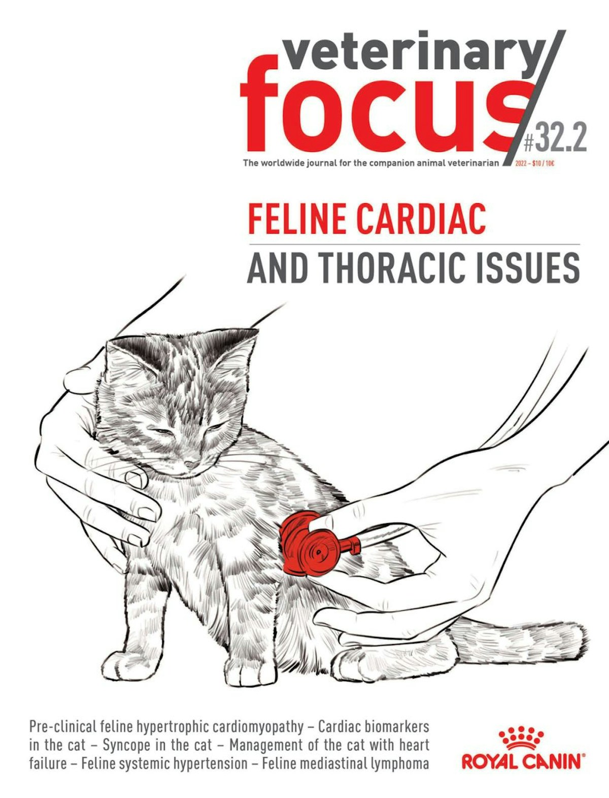 Afecțiuni cardiace și toracice la pisici