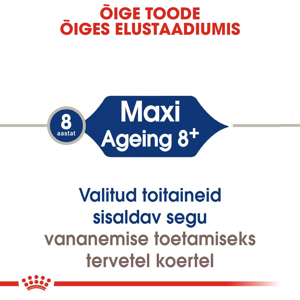 Royal Canin Maxi Ageing 8+ kuivtoit