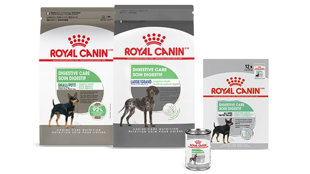 Packshot of two Royal Canin digestive care dog products