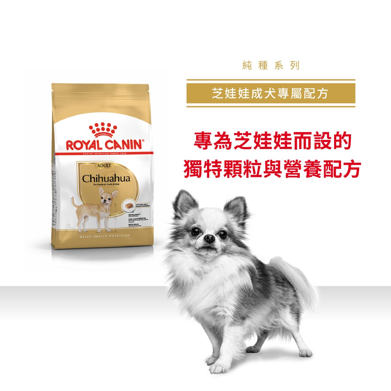 BHN 芝娃娃成犬專屬配方