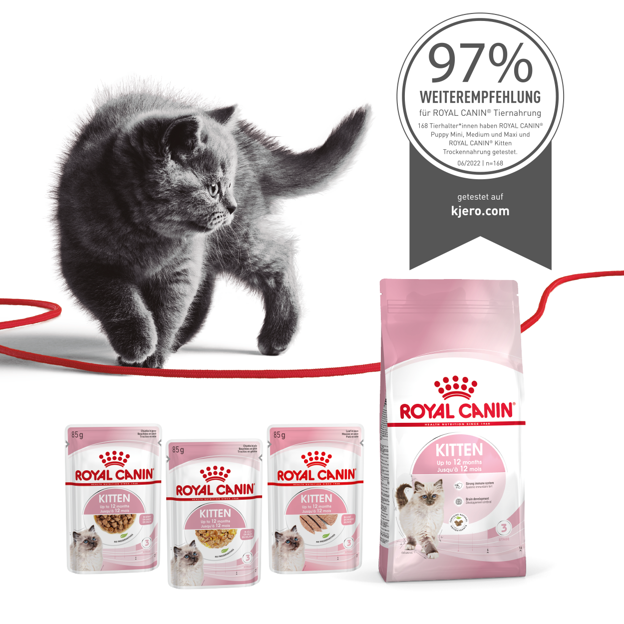 Ein Produktfoto von verschiedenen ROYAL CANIN Kittennahrungen