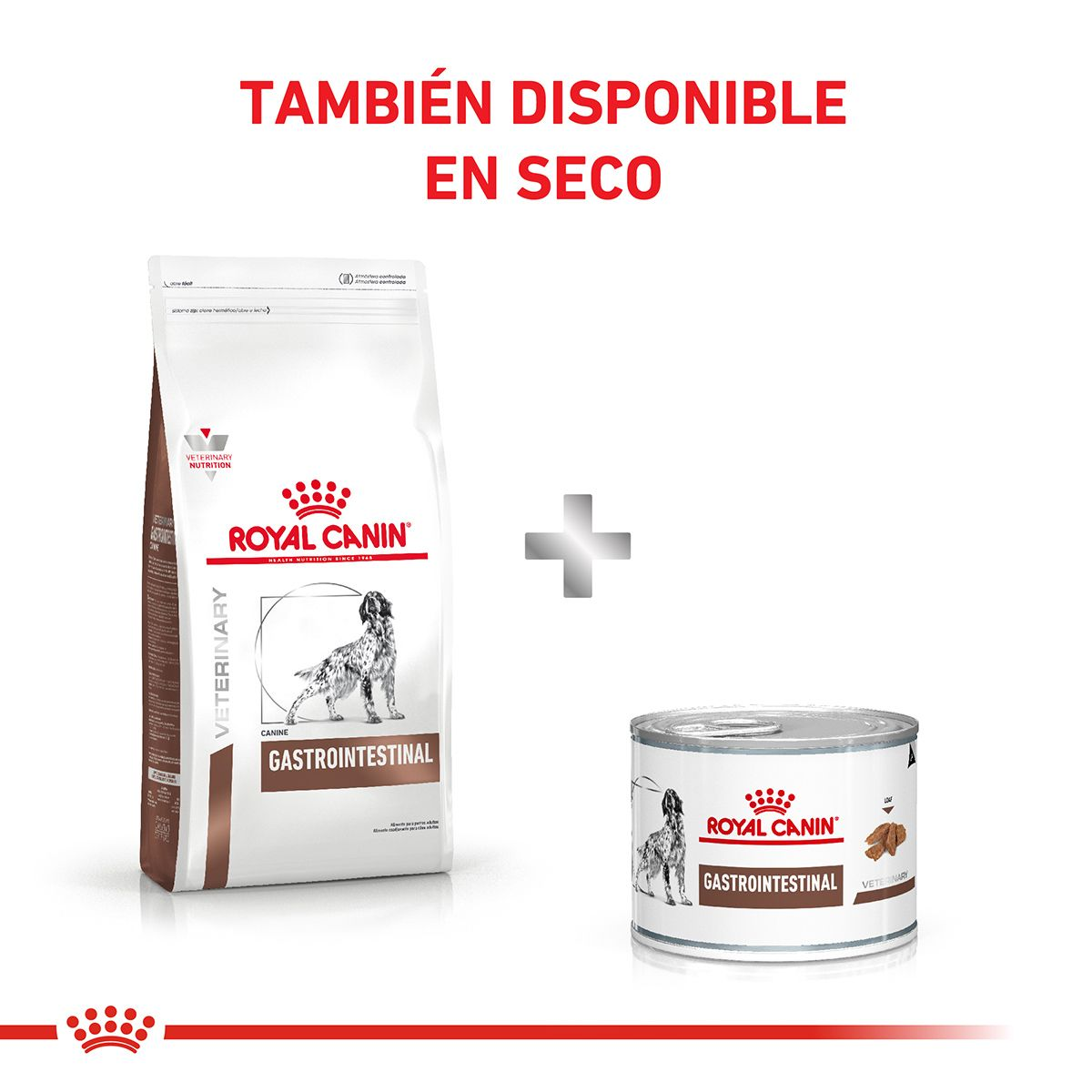 Gastrointestinal Canine