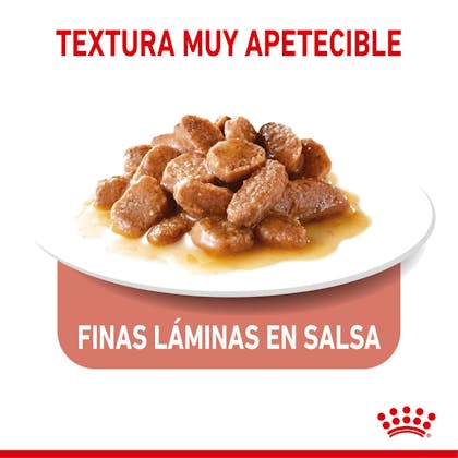 TEXTURA