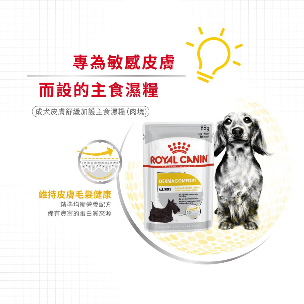 CCN 成犬皮膚舒緩加護主食濕糧（肉塊）