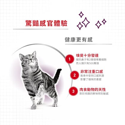 A+_SSW_正方形_02