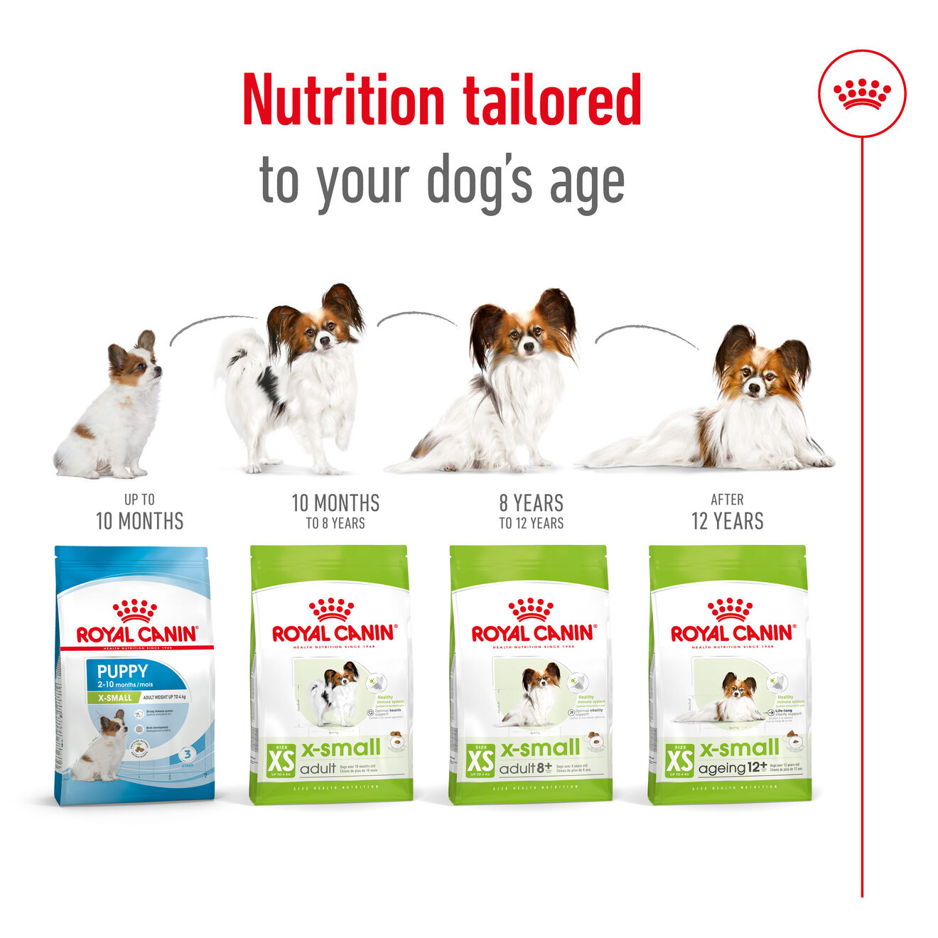 Royal canin health nutrition store small adult dry dog food