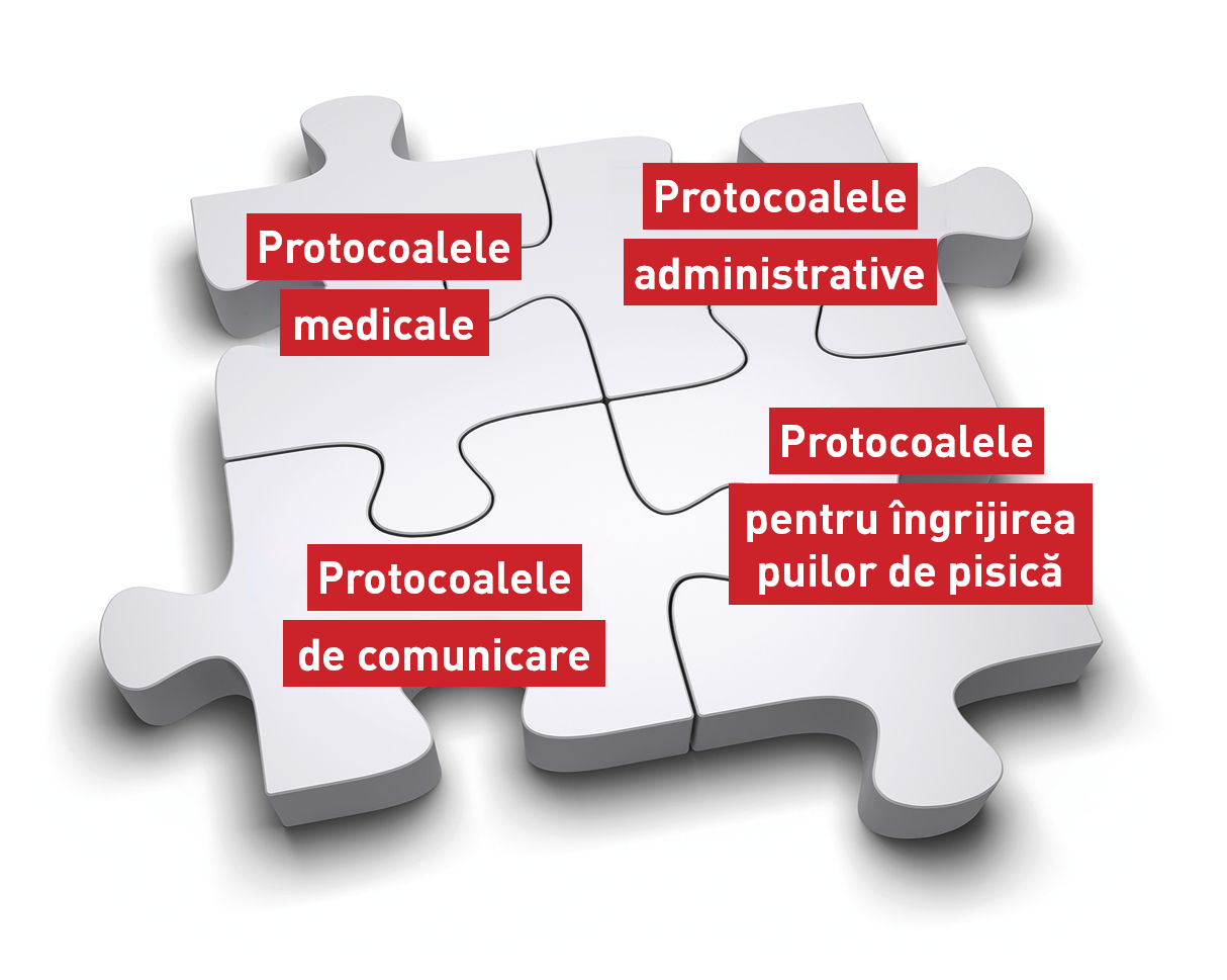 Protocoalele în clinica veterinară sunt ca un puzzle, în care piesele trebuie să interacționeze între ele.