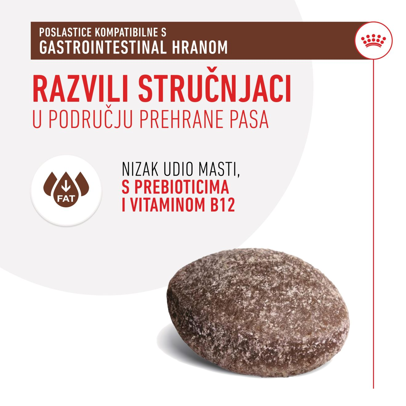 TREATS COMPATIBLE WITH GASTROINTESTINAL DIETS​