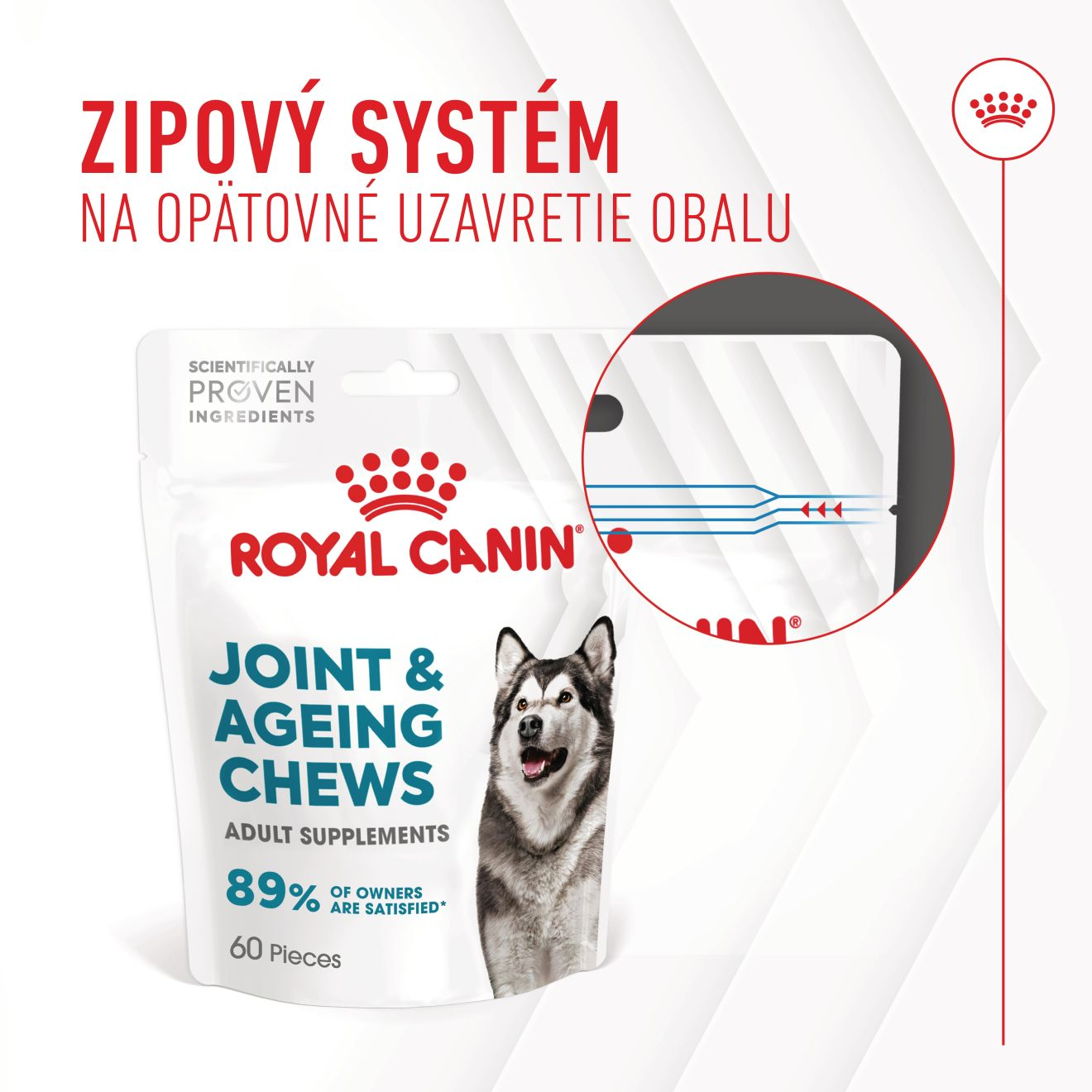 Supplement Dog Joint & Ageing chews