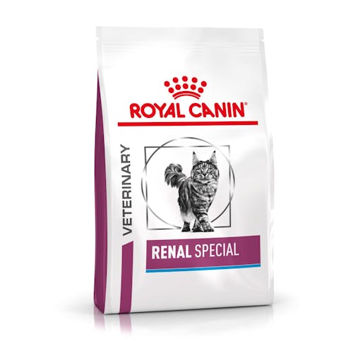 Renal   Special