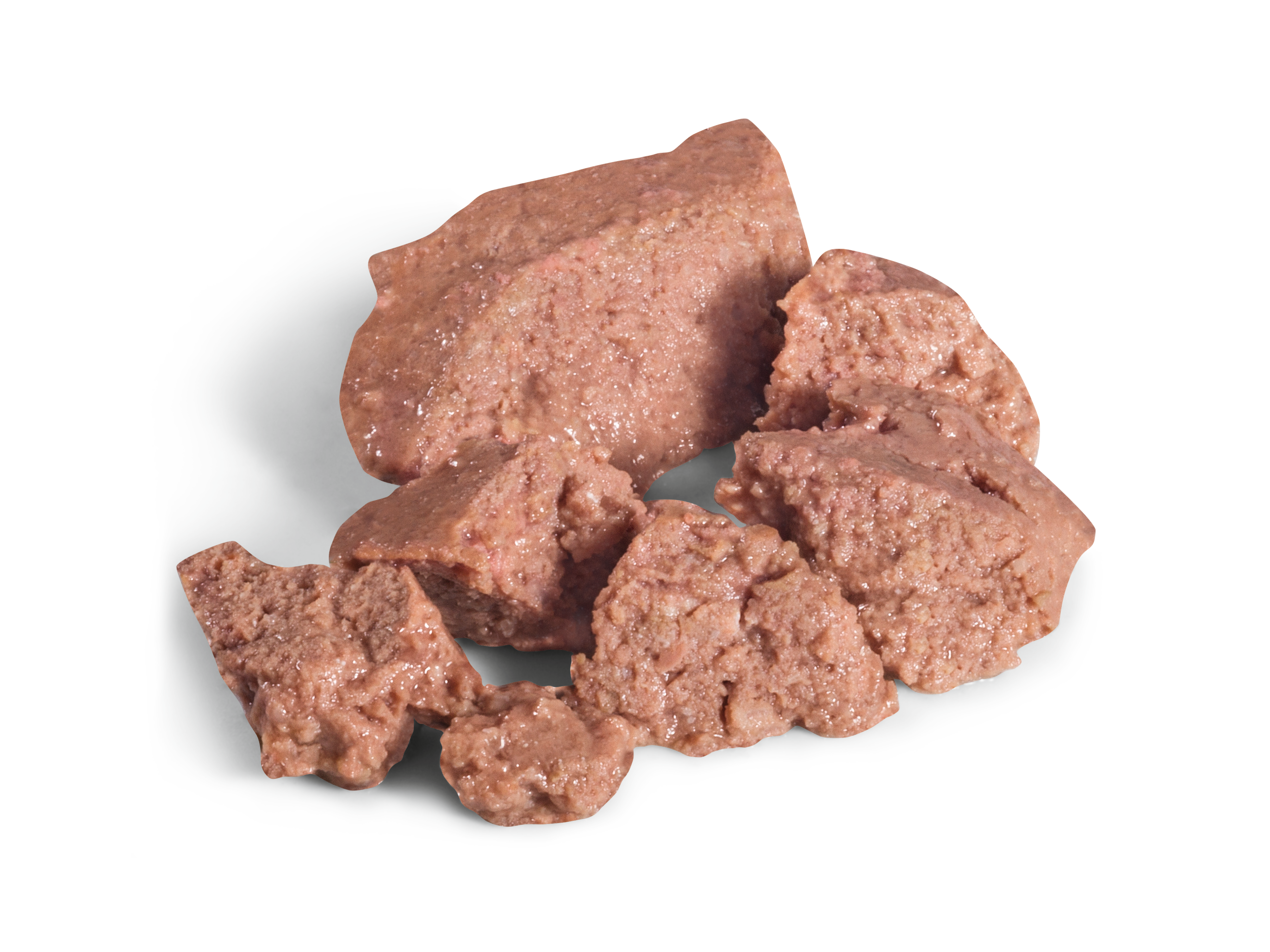 Dachshund Adult Loaf