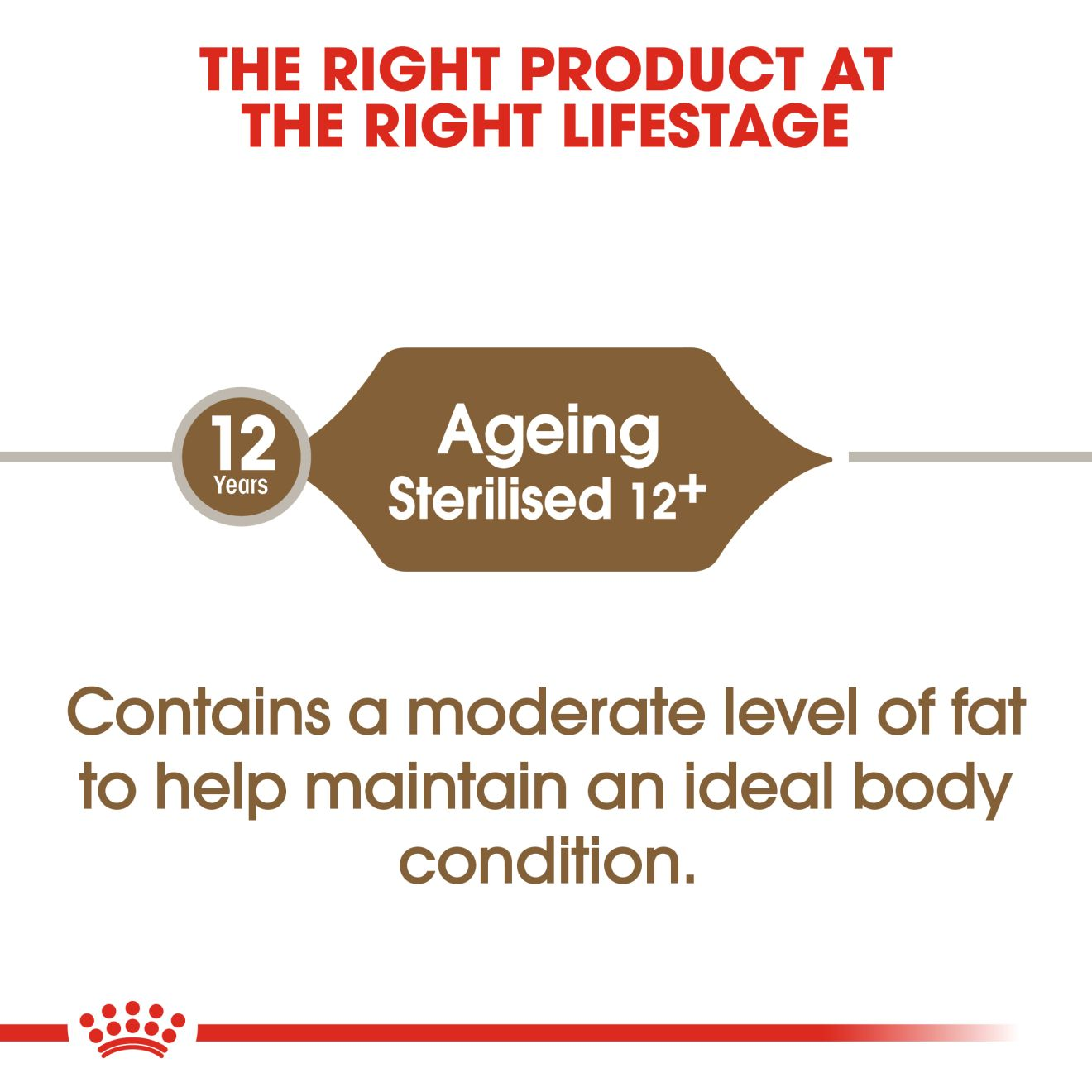 STERILISED AGEING 12+