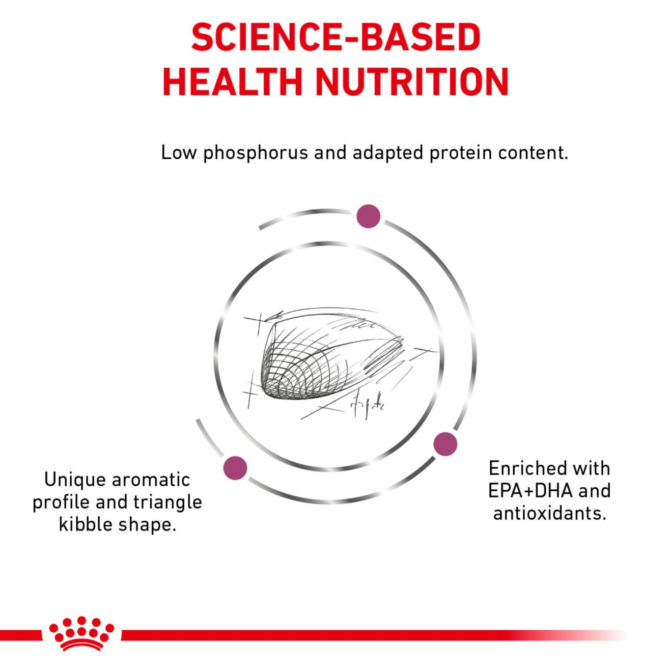 Royal canin 2024 renal support f