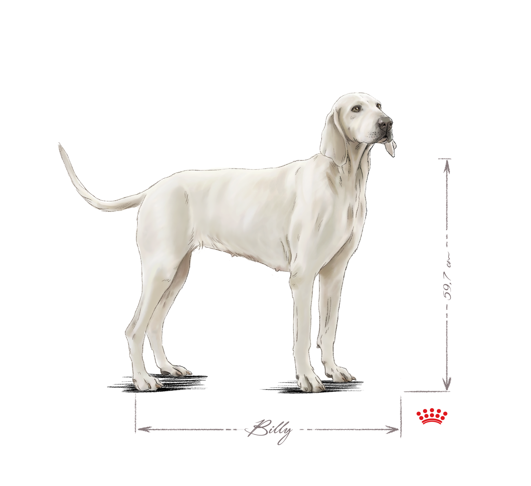 billy-adult-standing