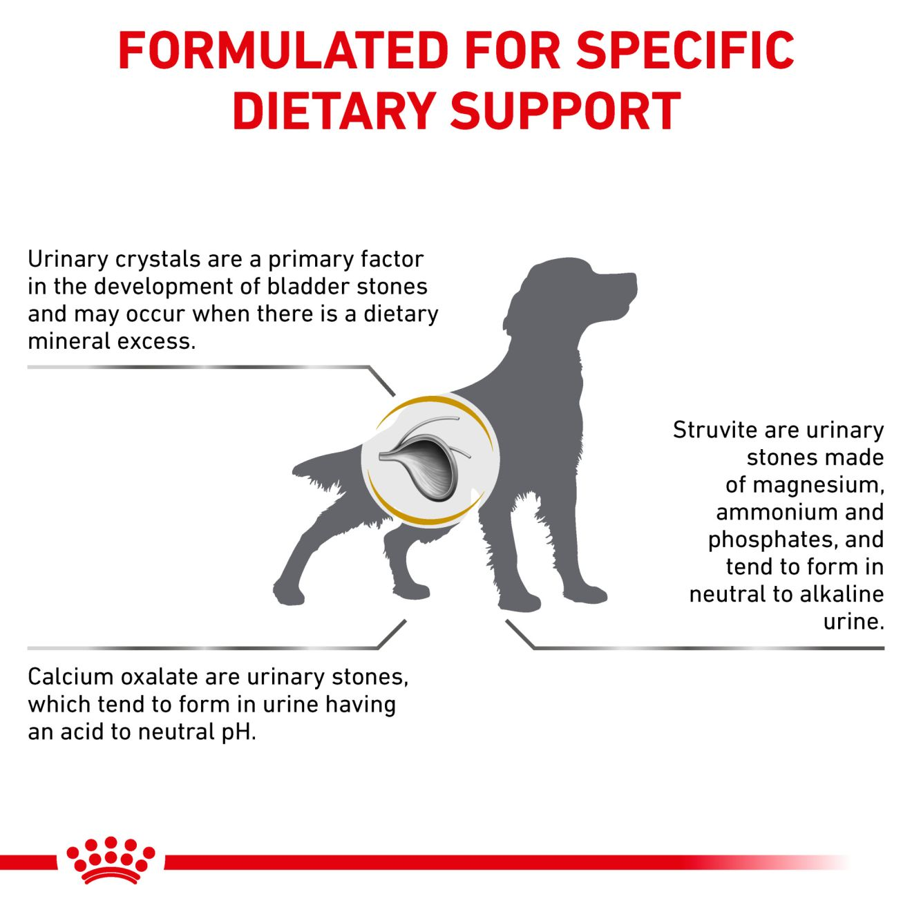 Canine Urinary SO Royal Canin US