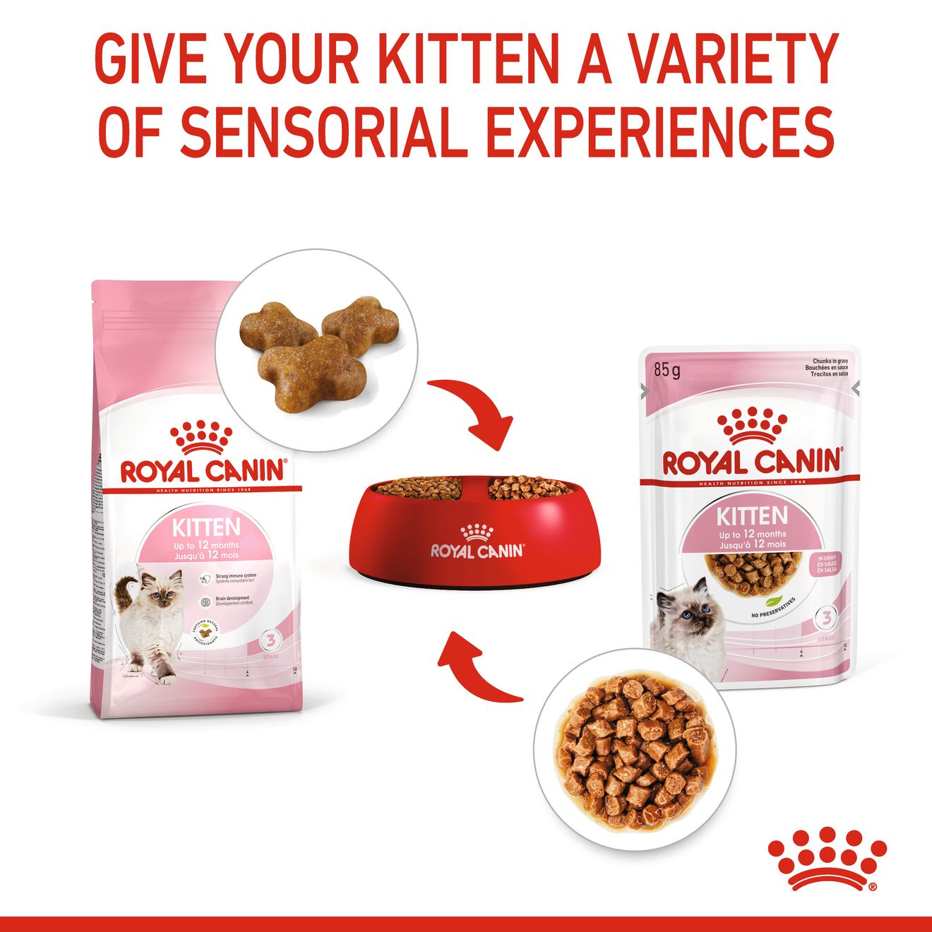 Royal canin sale kitten gravy salsa