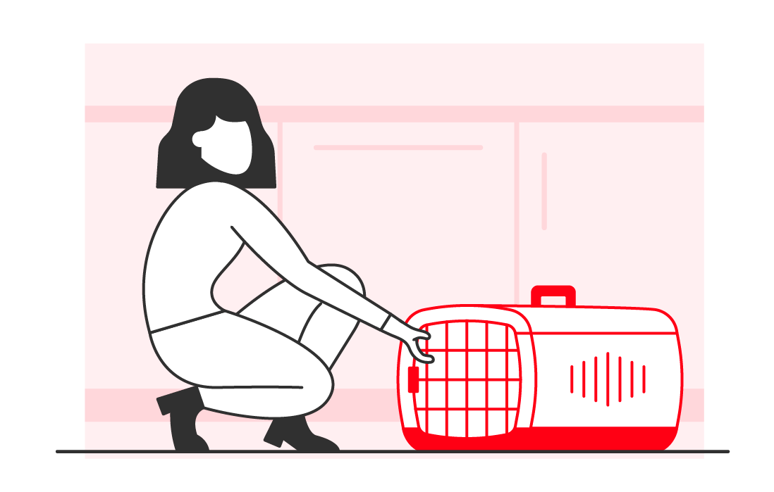 Illustration of a woman kneeling down in a kitchen with a cat carry case