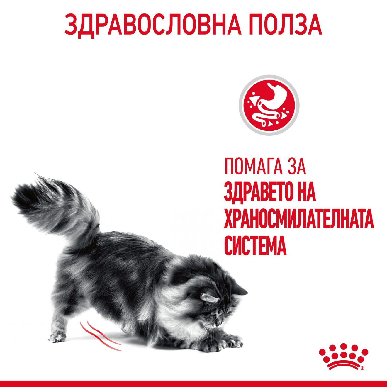 Royal Canin Digestive Care Малки хапки в сос