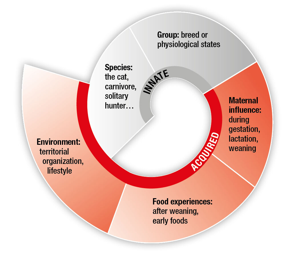 Factors that contribute to an individual’s preferences for diet palatability.