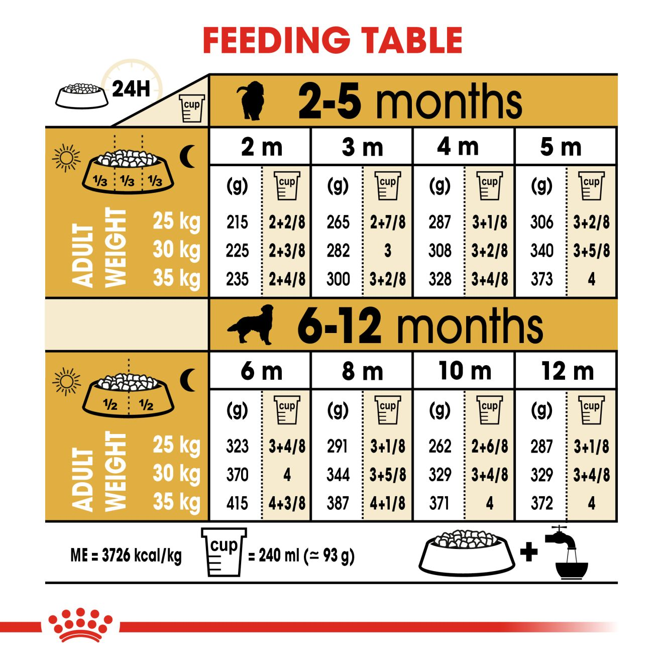 how often do you feed a golden retriever puppy? 2